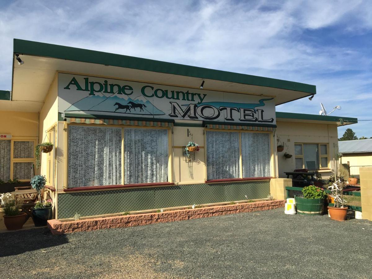 קומה Alpine Country Motel Plus Free Coffee מראה חיצוני תמונה